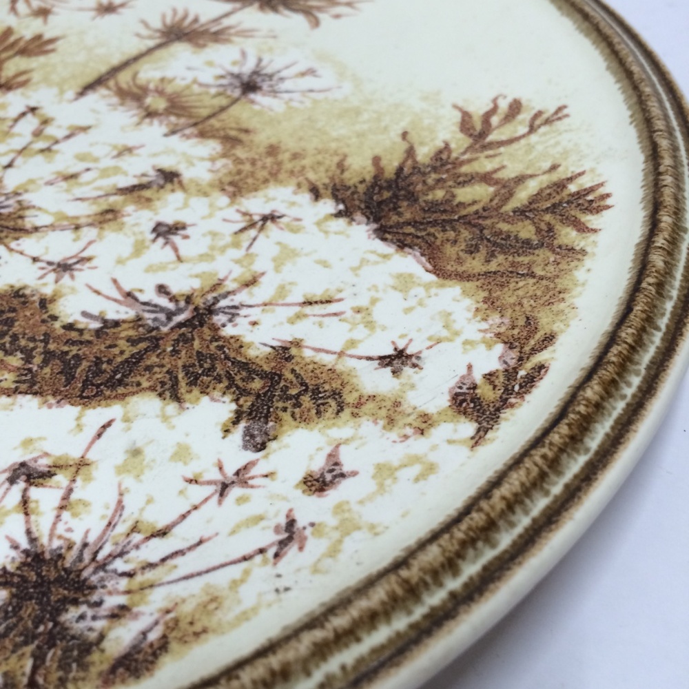Vintage Mikasa Natures Gallery Over to Table Plate - Picture 3 of 7